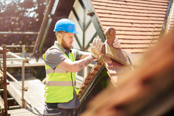 Best Roof Gutter Cleaning  in Shenandoah, LA