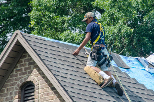 Best Roof Repair Services  in Shenandoah, LA